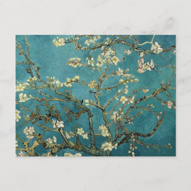 Van Gogh Almond Branches In Bloom Postcard (Front)