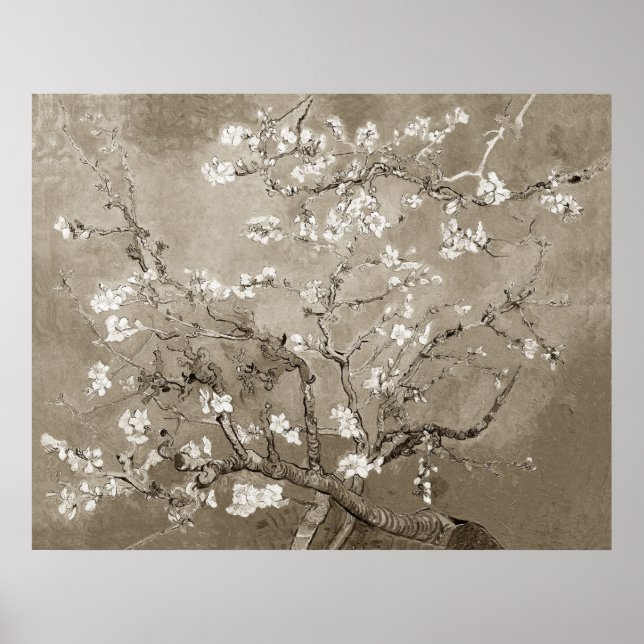 Van Gogh Almond Branches in Bloom - Sepia Poster (Front)