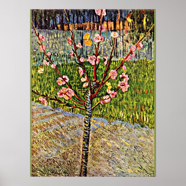 Van Gogh - Almond Tree in Blossom, popular artwork Poster (Front)