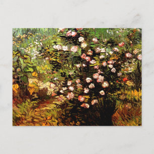Van Gogh - Blooming Rose Bush Postcard