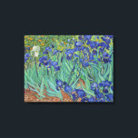 Van Gogh Classic Painting Irises Floral Botanical Canvas Print<br><div class="desc">Van Gogh’s Irises (1889) is a vibrant post-Impressionist masterpiece created during his stay at the Saint-Paul-de-Mausole asylum in Saint-Rémy-de-Provence. The painting captures a profusion of purple irises in full bloom, their petals rendered with bold, swirling brushstrokes and rich blue hues that evoke movement and energy. A single white blossom stands...</div>