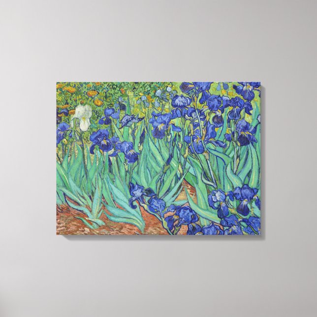 Van Gogh Classic Painting Irises Floral Botanical Canvas Print (Front)