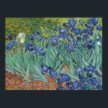 Van Gogh Classic Painting Irises Floral Botanical Poster<br><div class="desc">Van Gogh’s Irises (1889) is a vibrant post-Impressionist masterpiece created during his stay at the Saint-Paul-de-Mausole asylum in Saint-Rémy-de-Provence. The painting captures a profusion of purple irises in full bloom, their petals rendered with bold, swirling brushstrokes and rich blue hues that evoke movement and energy. A single white blossom stands...</div>