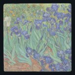 Van Gogh Classic Painting Irises Floral Botanical Stone Coaster<br><div class="desc">Van Gogh’s Irises (1889) is a vibrant post-Impressionist masterpiece created during his stay at the Saint-Paul-de-Mausole asylum in Saint-Rémy-de-Provence. The painting captures a profusion of purple irises in full bloom, their petals rendered with bold, swirling brushstrokes and rich blue hues that evoke movement and energy. A single white blossom stands...</div>