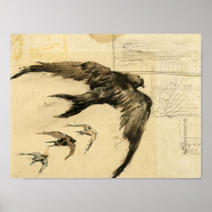 Van Gogh - Four Swifts with Landscape Sketches Poster