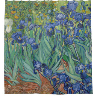 Van Gogh Irises