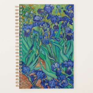Van Gogh Irises
