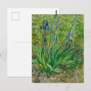 Van Gogh Irises - Classic Blue Floral Art Postcard