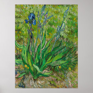 Van Gogh Irises - Classic Blue Floral Art Poster