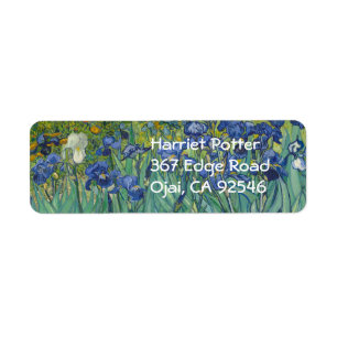 Van Gogh Irises (F608) Art