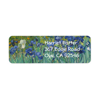 Van Gogh Irises (F608) Fine Art