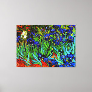 Van Gogh - Irises, fine art painting Canvas Print