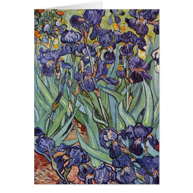 Van Gogh Irises Impressionist Painting (Front)