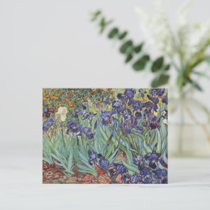 Van Gogh Irises Impressionist Painting Postcard