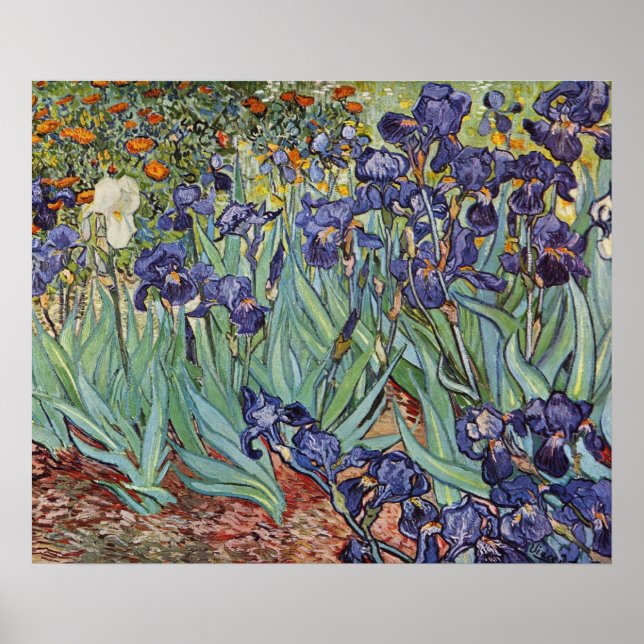Van Gogh Irises Impressionist Painting Poster (Front)