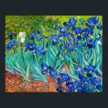 Van Gogh, Irises, Les Iris, 1889 Poster<br><div class="desc">Van Gogh, Irises, Les Iris, 1889</div>