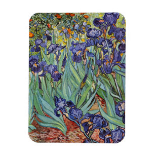 Van Gogh Irises Magnet