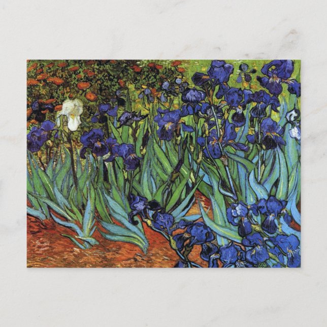 Van Gogh Irises Postcard (Front)