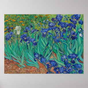 Van Gogh Irises Poster