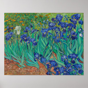 Van Gogh Irises Poster