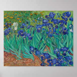 Van Gogh Irises Poster