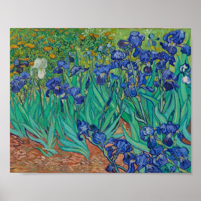 Van Gogh Irises Poster (Front)