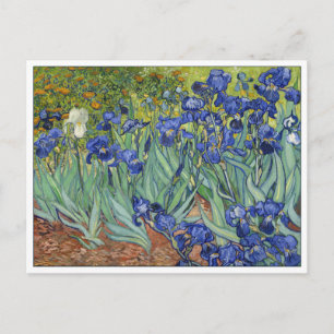 Van Gogh Irises Vintage Fine Art Floral Postcard