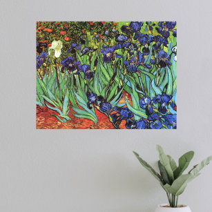 Van Gogh Irises, Vintage Garden Fine Art Canvas Print