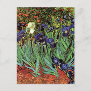 Van Gogh Irises, Vintage Garden Fine Art Postcard