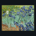 Van Gogh Irises, Vintage Post Impressionism Art Poster<br><div class="desc">Van Gogh Irises, Vintage Post Impressionism Art Poster .Irises by Vincent van Gogh is a vintage fine art post impressionism landscape floral painting featuring a bouquet of bearded purple irises growing in a garden with a single white iris flower.Vincent Willem van Gogh was a Post Impressionist dutch painter whose work...</div>