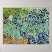 Van Gogh Irises, Vintage Post Impressionism Art