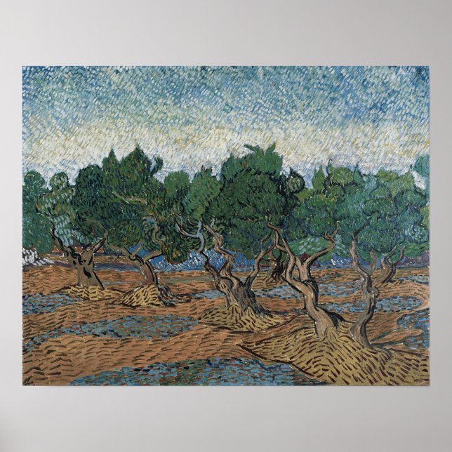Van Gogh - Olive Grove Poster (Front)