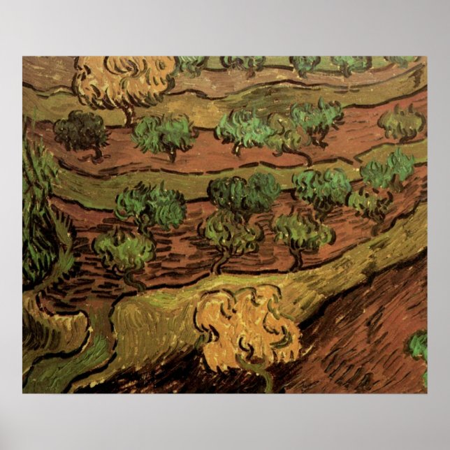 Van Gogh Olive Trees Against a Slope of a Hill Poster (Front)