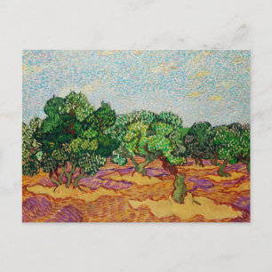 Van Gogh - Olive Trees, famous painting, Postcard