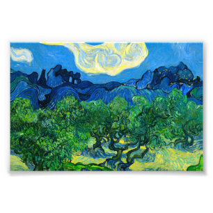 Van Gogh Olive Trees in a Mountainous Landscape Photo Print