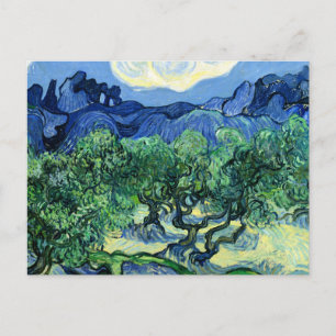 Van Gogh - Olive Trees with Alpilles in Background Postcard