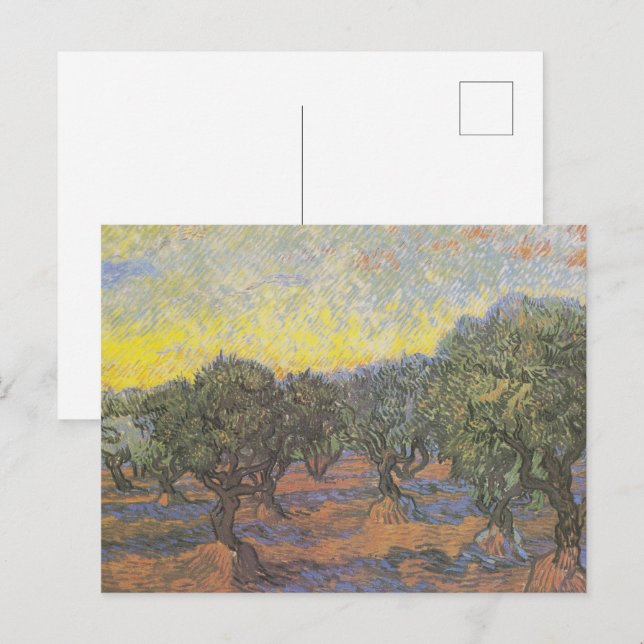 Van Gogh Olive Trees Yellow Sky Art Postcard (Front/Back)