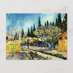 Van Gogh - Orchard Surrounded by Cypresses Postcard