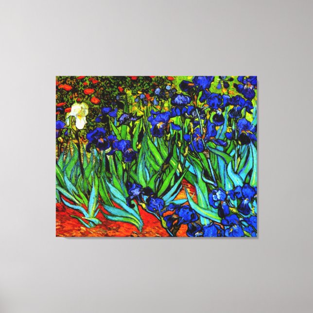 Van Gogh painting, Irises, Canvas Print (Front)
