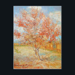 Van Gogh Pink Peach Tree in Blossom Postcard<br><div class="desc">Van Gogh Pink Peach Tree in Blossom postcard. Oil painting on canvas from 1888. Part of the Flowering Orchards series inspired by the blooming fruit trees of Arles France, Pink Peach Tree in Blossom is one of van Gogh’s most popular landscape paintings. Van Gogh cherished blossoming fruit trees in springtime,...</div>