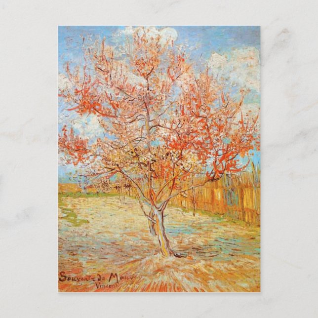Van Gogh Pink Peach Tree in Blossom Postcard (Front)