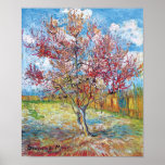 Van Gogh - Pink Peach Trees Poster<br><div class="desc">Vincent Van Gogh's Pink Peach Trees. When Van Gogh arrived in Arles in 1888, fruit trees in the orchards were about to bloom. The blossoms of the apricot, peach and plum trees motivated him, and within a month he had created fourteen paintings of blossoming fruit trees. The 'trees and orchards...</div>