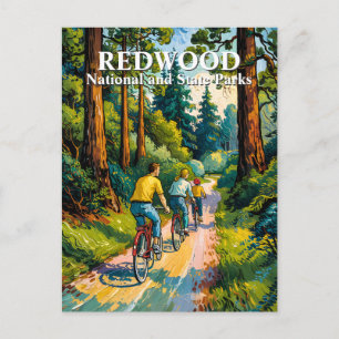 Van Gogh Redwood National Park Family Cycling  Postcard