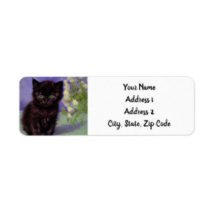 Van Gogh Style Cat with White Flowers