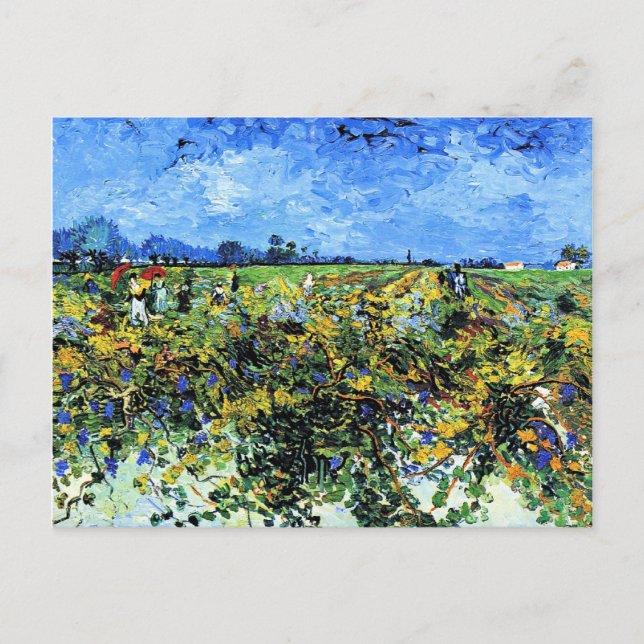 Van Gogh - The Green Vineyard, 1888, Arles Postcard (Front)