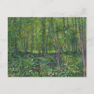 Van Gogh Trees and Undergrowth Postcard