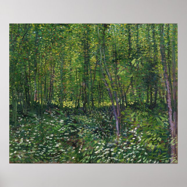 Van Gogh - Trees And Undergrowth Poster (Front)