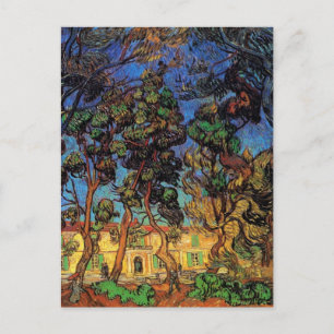 Van Gogh Trees in the Garden, Saint Paul Hospital Postcard