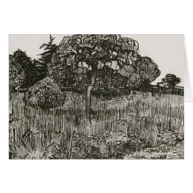 Van Gogh Weeping Tree on a Lawn (Front Horizontal)