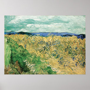 Van Gogh - Wheatfield With Cornflowers Poster
